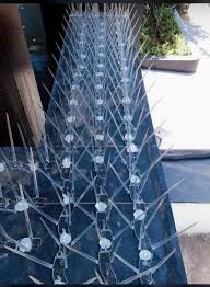 Pigeon Net 4